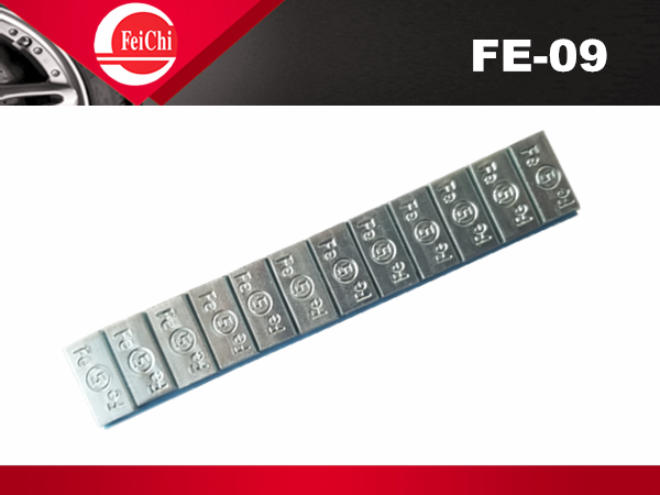 FE-09